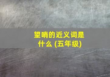 望哨的近义词是什么 (五年级)